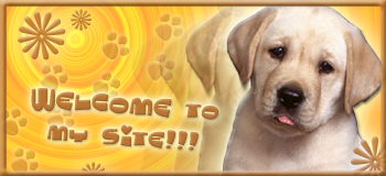 kutyas_1_welcome.png