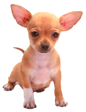 png3.png