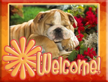 welcome01kutys.png