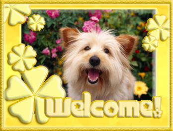 welcome_kutya_1.png