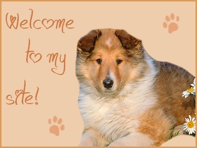 welcome_to_my_site__.jpg